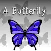A Butterfly