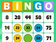 Bingo Solo