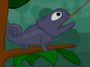 Chameleon