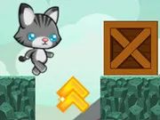 Lost Kitty Go Home