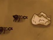 Save The Crumb