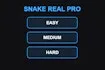 Snake Real Pro
